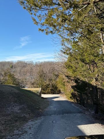 19 Mikayla Dr Drive, Lampe, MO 65681