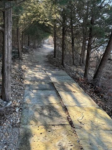 19 Mikayla Dr Drive, Lampe, MO 65681