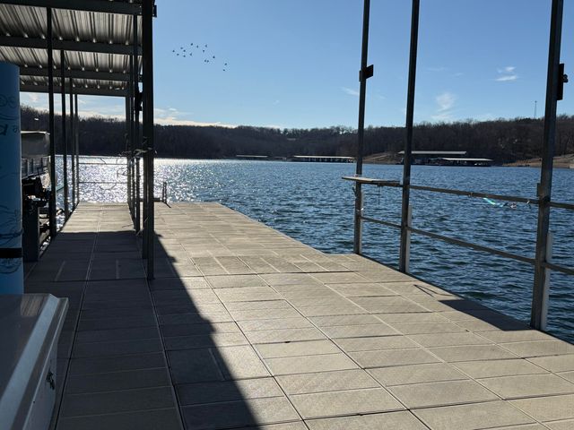 19 Mikayla Dr Drive, Lampe, MO 65681