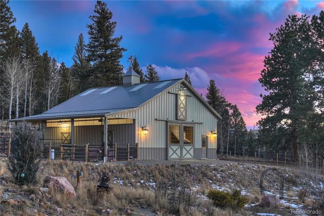 228 Bear Drive, Guffey, CO 80820