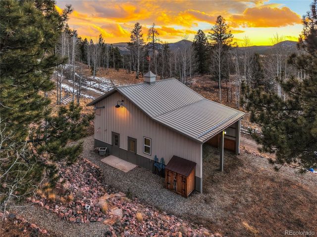 228 Bear Drive, Guffey, CO 80820