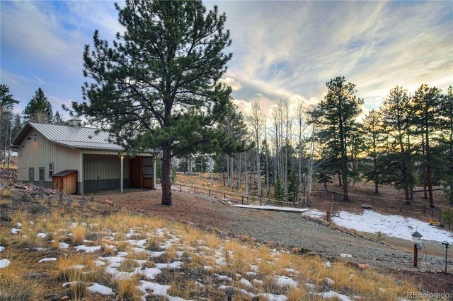 228 Bear Drive, Guffey, CO 80820