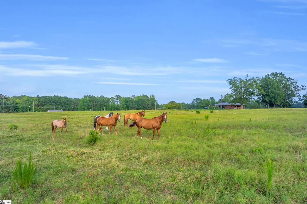 00 Docheno Road, Belton, SC 29627