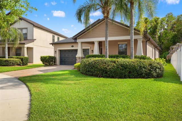 19476 PADDOCK VIEW DRIVE, Tampa, FL 33647