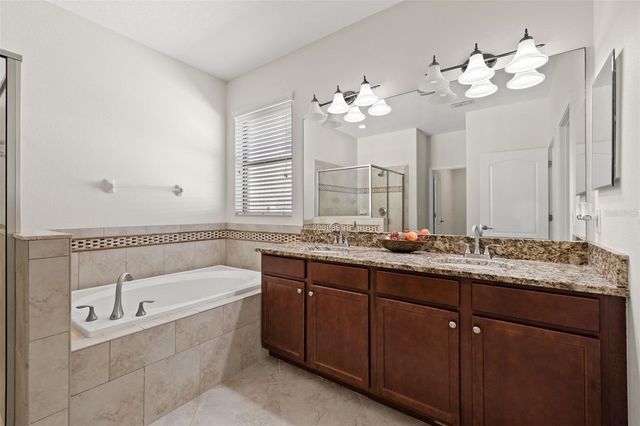 19476 PADDOCK VIEW DRIVE, Tampa, FL 33647