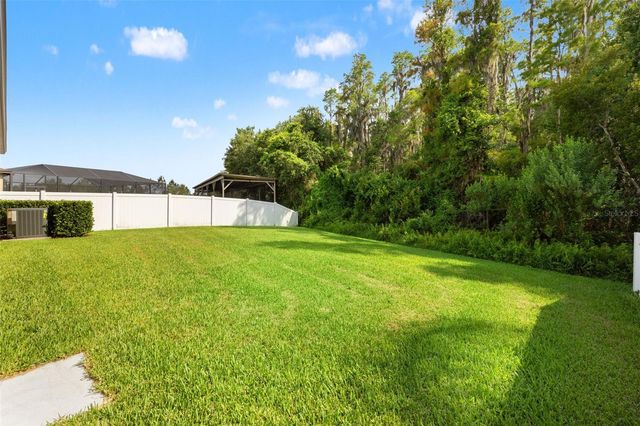 19476 PADDOCK VIEW DRIVE, Tampa, FL 33647