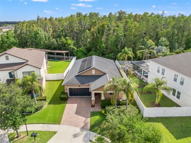 19476 PADDOCK VIEW DRIVE, Tampa, FL 33647