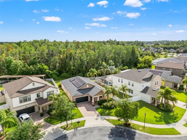 19476 PADDOCK VIEW DRIVE, Tampa, FL 33647