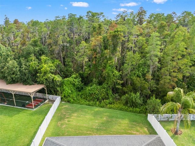 19476 PADDOCK VIEW DRIVE, Tampa, FL 33647