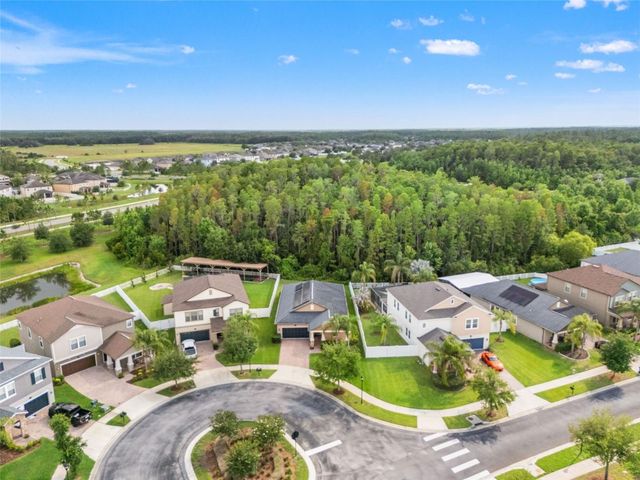 19476 PADDOCK VIEW DRIVE, Tampa, FL 33647