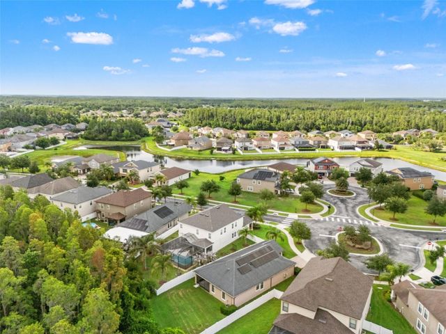19476 PADDOCK VIEW DRIVE, Tampa, FL 33647