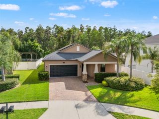19476 PADDOCK VIEW DRIVE, Tampa, FL 33647