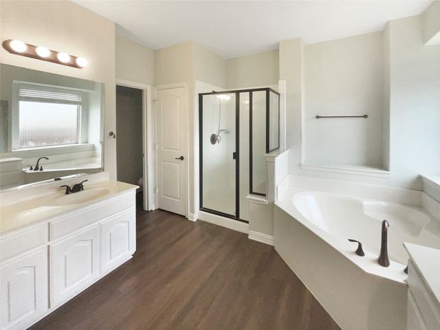 1005 Lake Hollow Drive, Little Elm, TX 75068