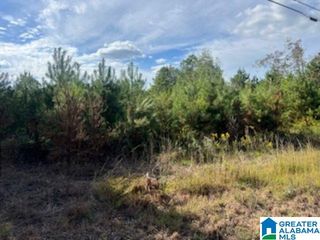 0 COVE SHOCCO ROAD, Talladega, AL 35160