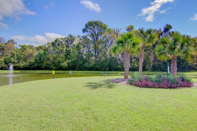 1151 Quick Rabbit Loop, Charleston, SC 29414