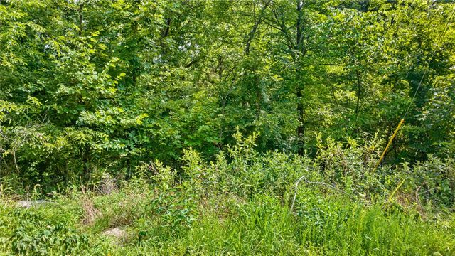 Indian Bluff Road, Garfield, AR 72732