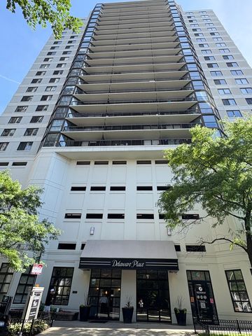 33 W Delaware Place 335, Chicago, IL 60610