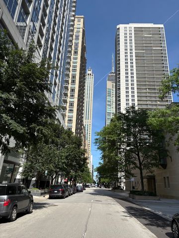 33 W Delaware Place 335, Chicago, IL 60610