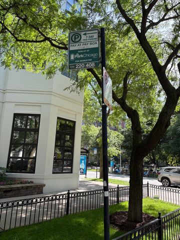 33 W Delaware Place 335, Chicago, IL 60610