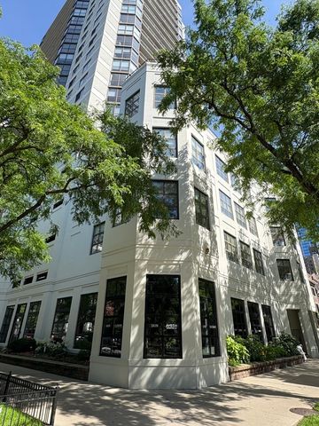 33 W Delaware Place 335, Chicago, IL 60610