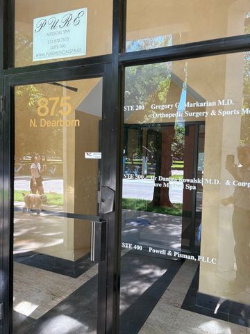 33 W Delaware Place 335, Chicago, IL 60610