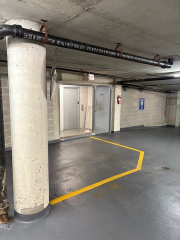 33 W Delaware Place 335, Chicago, IL 60610