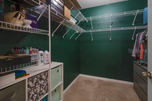 10213 GOLDEN LIGHT COURT, Riverview, FL 33578