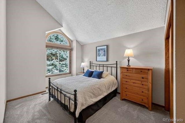 11451 Hilary Court, Parker, CO 80138