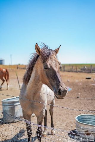 1235 W Hwy 26, Blackfoot, ID 83221