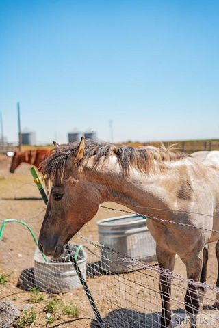 1235 W Hwy 26, Blackfoot, ID 83221