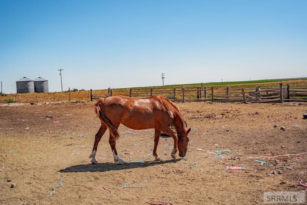 Image 47 of property listing at 1235 W Hwy 26, Blackfoot, ID 83221