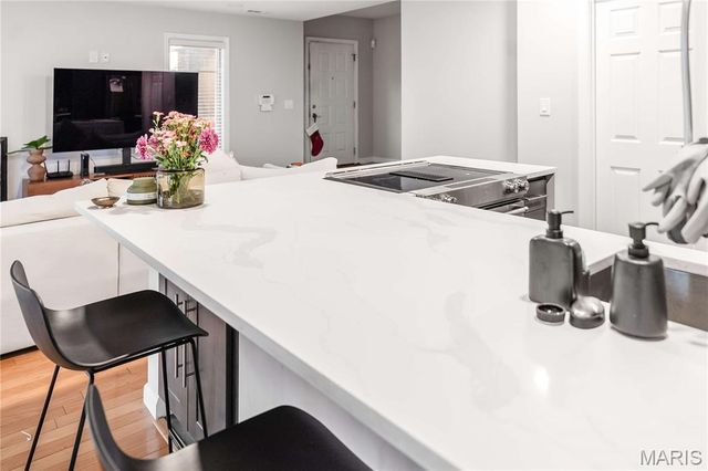 445 Clara Avenue 24, St Louis, MO 63112