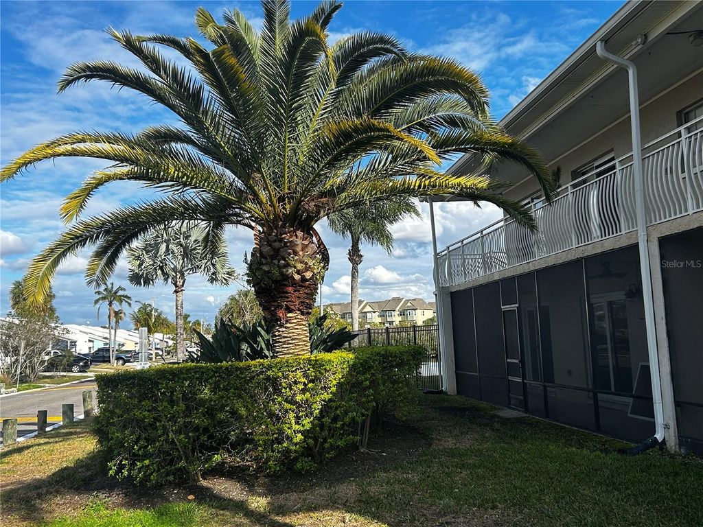 Image 3 of property listing at 8802 BAY POINTE DRIVE 102, Tampa, FL 33615