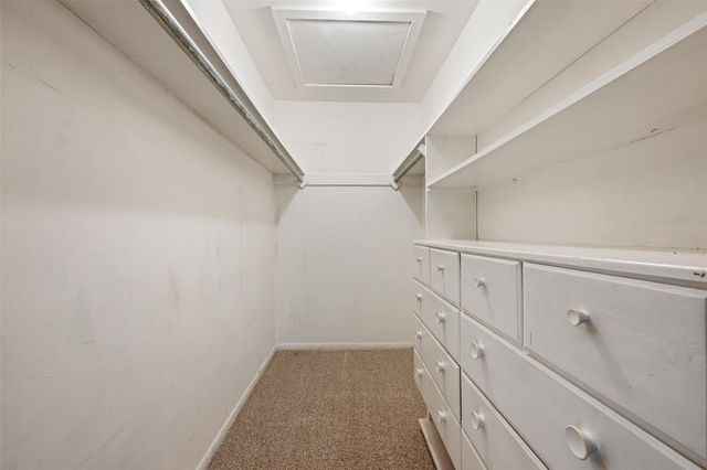 8709 Honeysuckle TRL, Austin, TX 78759