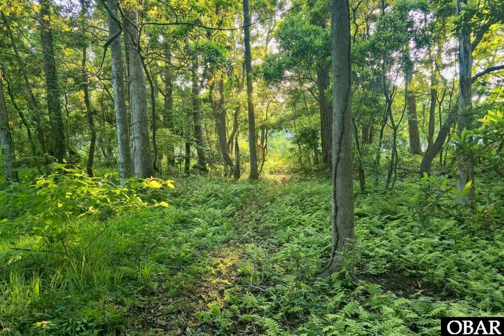 Image 15 of property listing at 5 Live Oak Lane Lot #1, Southern Shores, NC 27949