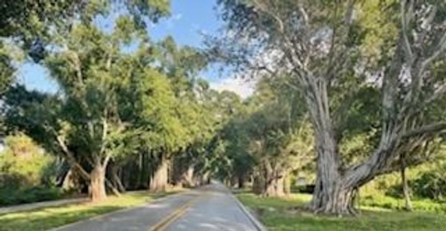 8867 SE Rigdon Way, Hobe Sound, FL 33455