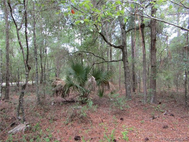 9673 N Loretta Way, Citrus Springs, FL 34434