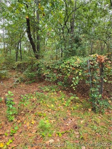 6438 and 6440 Raeford Road, Fayetteville, NC 28304