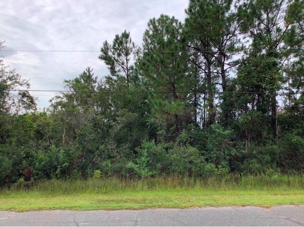 ODHAM STREET, Orlando, FL 32833