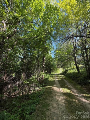 9999 Hunters Ridge Road, Canton, NC 28716