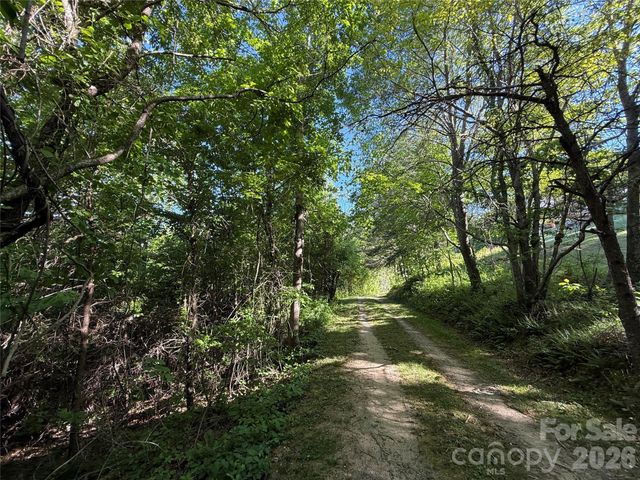 9999 Hunters Ridge Road, Canton, NC 28716