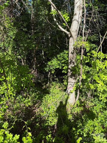 9999 Hunters Ridge Road, Canton, NC 28716