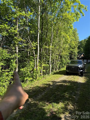9999 Hunters Ridge Road, Canton, NC 28716