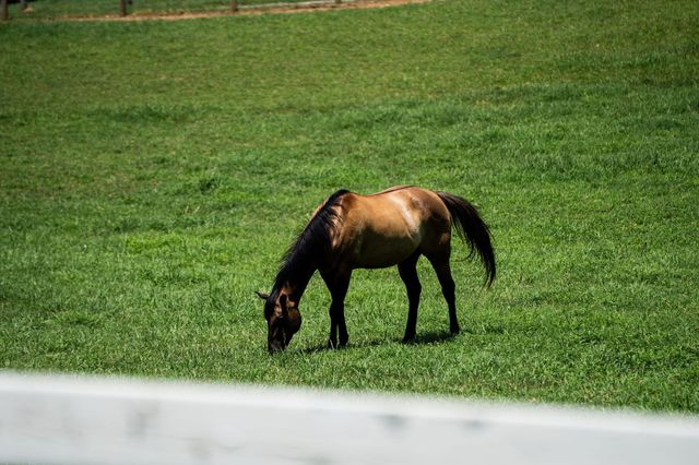 2131 Highway 130, W, Shelbyville, TN 37160