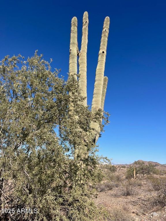 26113 N 113th Avenue -, Peoria, AZ 85383 — photo 2