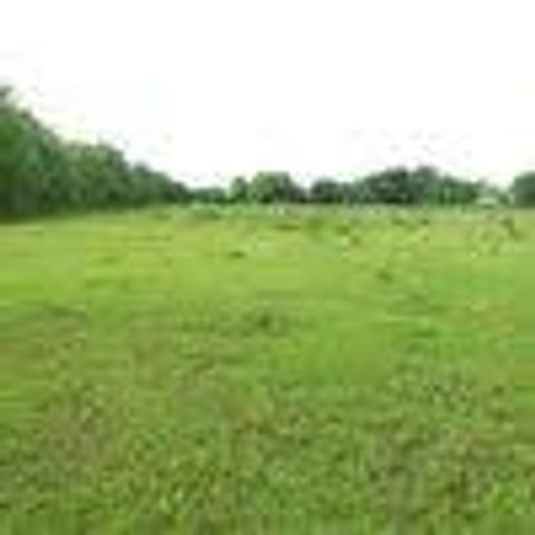 4147 Fuqua Street, Houston, TX 77048