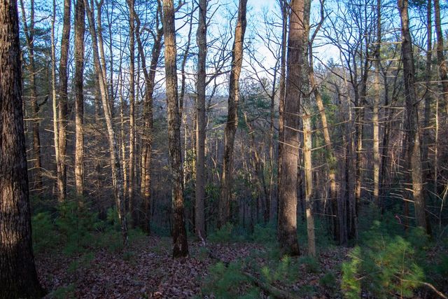 3 Rock Creek, Cherry Log, GA 30522