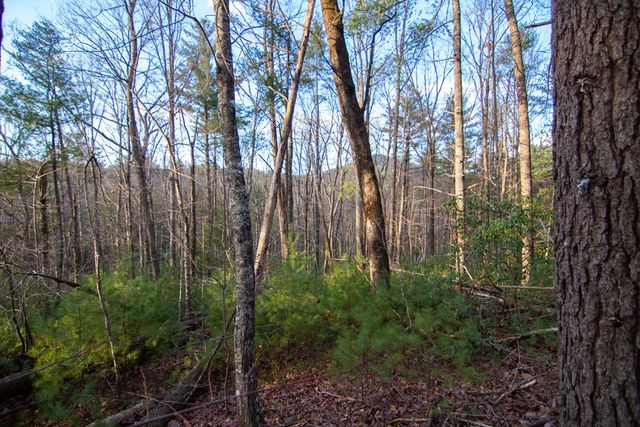 3 Rock Creek, Cherry Log, GA 30522