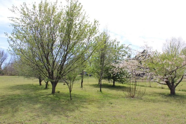 1648 DRY HILL RD W, Ripley, TN 38063