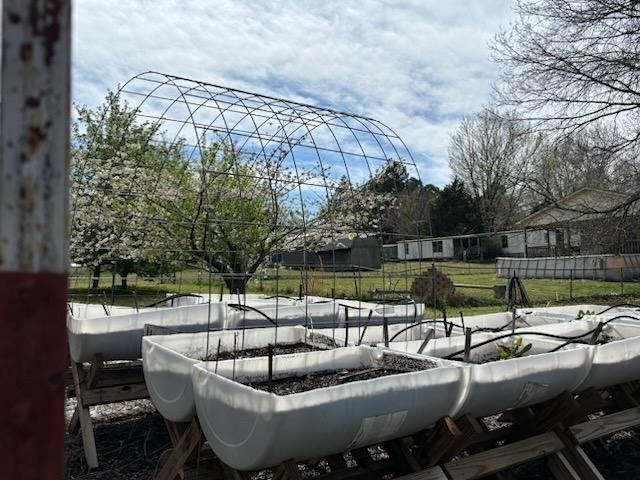 1648 DRY HILL RD W, Ripley, TN 38063